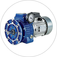 Мотовариаторы и мотовариаторы-редукторы Motovario серии S-TXF / VH-VHA